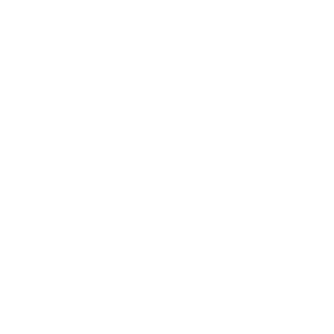 Business Coaching & Consulting Logo